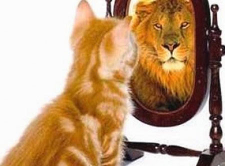 شرکت پدیده تبار اخبار فناوری تکنولوژی آموزش