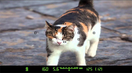 سیستم فوکوس خودکار3