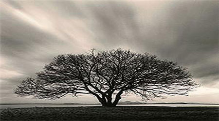 عکاسي از نوع سياه و سفيد3