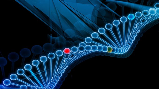  تاثیرات ژنتیک در یادگیری و موفقیت تحصیلی دوقلوها 