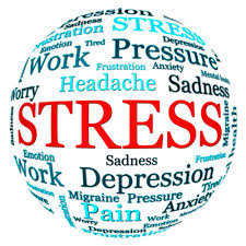  Understanding Stress Results From Change 
