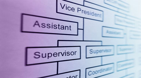  Job Classification 