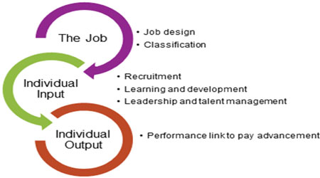  Job Classification 