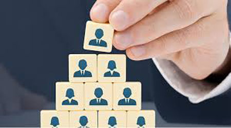  Job Classification 