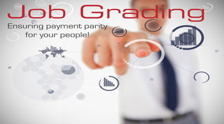  Job Classification 