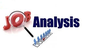  Job Specification -selecting employment 
