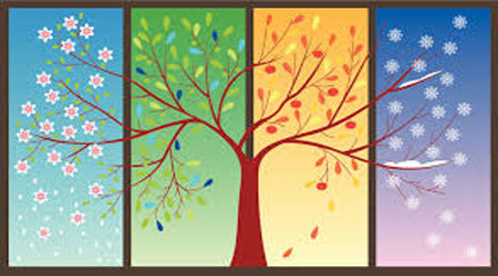  Seasonal Business Ideas and Opportunities 