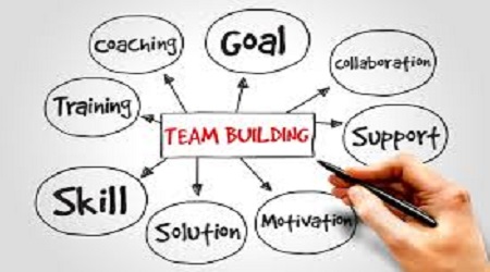  The 5 Teams that Every Organization Needs 