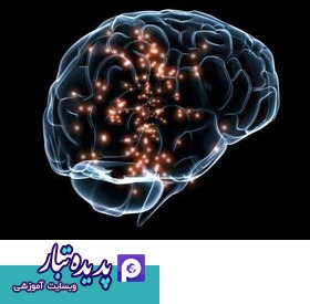 تمایز بین رفتارهای بشردوستانه و خودخواهانه