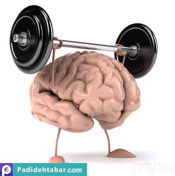 چند روش برای تقویت حافظه چند روش برای تقویت حافظه