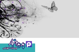 Butterfly effect