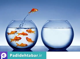 هفت قانون طلایی NLP برای موفقیت