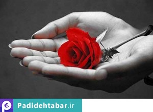 هفت قانون طلایی NLP برای موفقیت