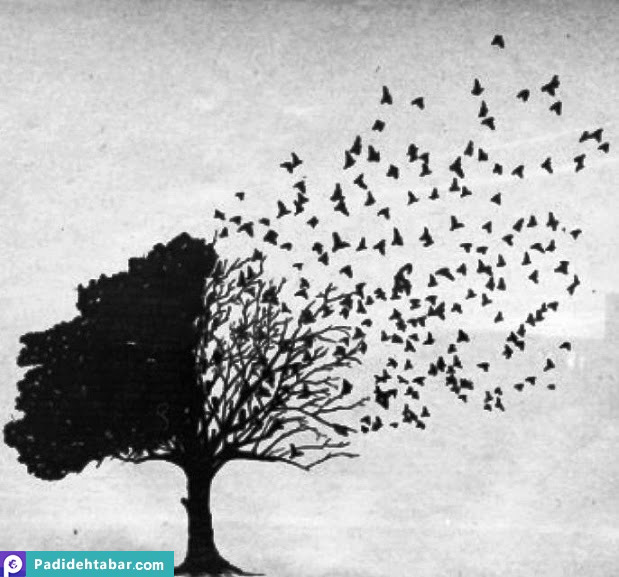 استعاره هایی برای زندگی