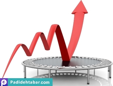 رشد‌های بزک‌کرده اقتصادی قابل دفاع نیست