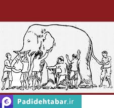 چگونگی اصرار نداشتن بر فیلهای سفید زندگی