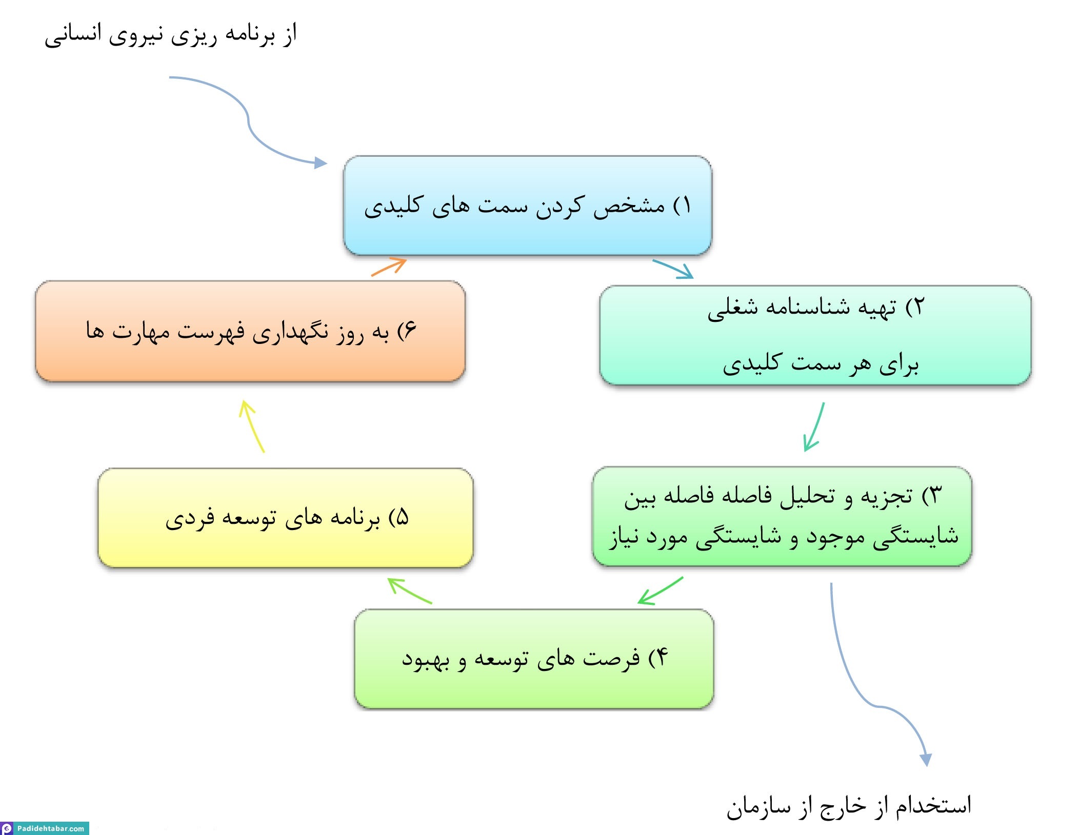 گامهای برنامه ریزی برای جانشین پروری