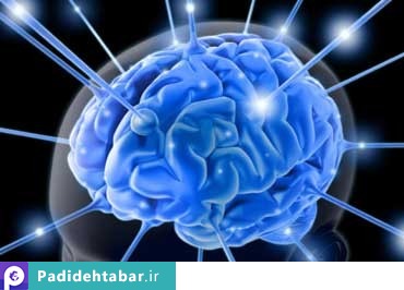 چگونگی تقویت حافظه ویژه ی دانش آموزان چگونگی تقویت حافظه ویژه ی دانش آموزان