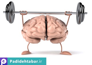 چگونگی تقویت حافظه ویژه ی دانش آموزان چگونگی تقویت حافظه ویژه ی دانش آموزان