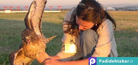 10 شغل عجیب انسانها در آینده!