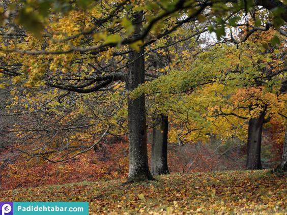 سئوالاتل عجیب‌وغریبی که شرکتهای بزرگ در مصاحبه استخدامی می‌پرسند...
