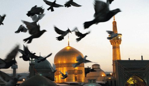 ولادت امام رضا (ع) مبارک باد