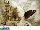 Butterfly effect