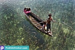 قبیله ی باجائو و زندگی بر روی اقیانوس